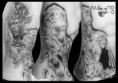 /album/trittico-epico/trittico-di-laoconte-x-deplian-jpg/